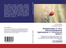 Bookcover of Андрогенез in vitro гексаплоидного тритикале (× Triticosecale Wittm.)