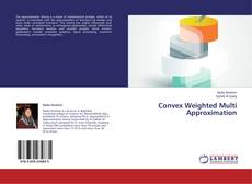 Capa do livro de Convex Weighted Multi Approximation 