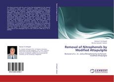 Capa do livro de Removal of Nitrophenols by Modified Attapulgite 