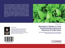 Couverture de Mutagenic Studies in Two Economically Important Mutants of Faba bean