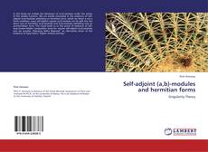 Self-adjoint (a,b)-modules and hermitian forms kitap kapağı