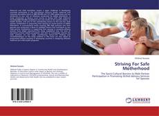 Striving For Safe Motherhood kitap kapağı