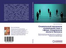 Capa do livro de Социальный механизм взаимодействия в сфере поддержки малого бизнеса 