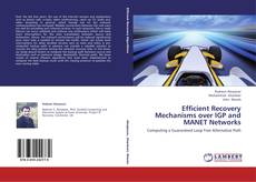 Couverture de Efficient Recovery Mechanisms over IGP and MANET Networks