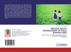 Bookcover of Process ability enhancement of false banana fiber