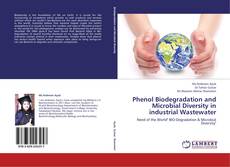 Capa do livro de Phenol Biodegradation and Microbial Diversity in industrial Wastewater 