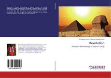 Buchcover von Revolution