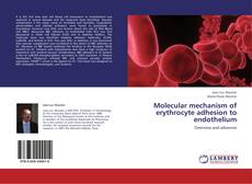 Buchcover von Molecular mechanism of erythrocyte adhesion to endothelium
