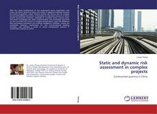 Buchcover von Static and dynamic risk assessment in complex projects