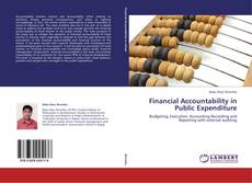 Buchcover von Financial Accountability in Public Expenditure