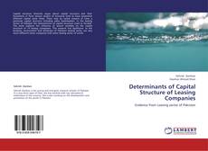 Copertina di Determinants of Capital Structure of Leasing Companies