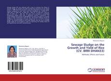 Copertina di Sewage Sludge on the Growth and Yield of Rice (CV. BRRI DHAN33)