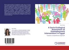 Bookcover of A Socio-­Ecological Assessment of Unemployment Interventions in Egypt