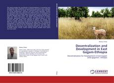 Couverture de Decentralization and Development in East Gojjam-Ethiopia