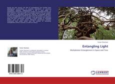 Bookcover of Entangling Light