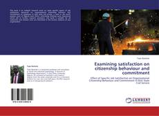 Examining satisfaction on citizenship behaviour and commitment kitap kapağı