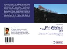 Capa do livro de Effect of Biochar on Phosphorus Availability in Soils 
