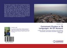 Buchcover von Consonant Clusters in TB Languages: An OT Account