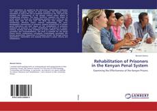 Rehabilitation of Prisoners in the Kenyan Penal System kitap kapağı