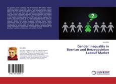 Buchcover von Gender Inequality in Bosnian and Herzegovinian Labour Market