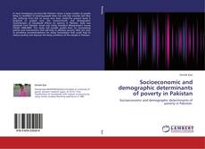 Обложка Socioeconomic and demographic determinants of poverty in Pakistan