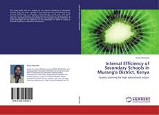 Обложка Internal Efficiency of Secondary  Schools in Murang'a District, Kenya