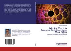 Why the West is in Economic Black Hole: Some Micro Follies kitap kapağı