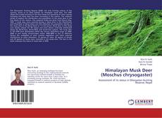 Bookcover of Himalayan Musk Deer (Moschus chrysogaster)