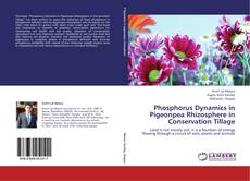 Bookcover of Phosphorus Dynamics in Pigeonpea Rhizosphere in Conservation Tillage