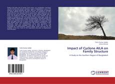 Обложка Impact of Cyclone AILA on Family Structure