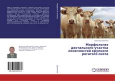 Capa do livro de Морфология дистального участка конечностей крупного рогатого скота 