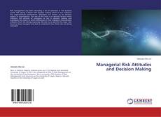Buchcover von Managerial Risk Attitudes and Decision Making