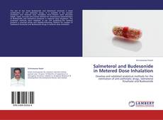 Bookcover of Salmeterol and Budesonide in Metered Dose Inhalation