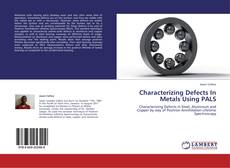 Characterizing Defects In Metals Using PALS kitap kapağı