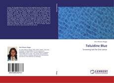 Capa do livro de Toluidine Blue 