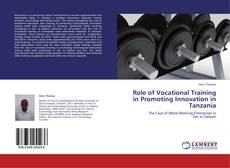 Borítókép a  Role of Vocational Training in Promoting Innovation in Tanzania - hoz