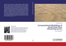 Обложка Computational Modelling of Small-Scale River Morphodynamics