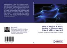 Role of Human & Social Capital in Cluster-based Industrial Development kitap kapağı