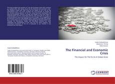 The Financial and Economic Crisis kitap kapağı