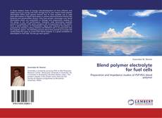 Portada del libro de Blend polymer electrolyte for fuel cells