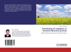 Portada del libro de Scheduling of irrigation in mustard (Brassica juncea)