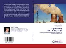 Bookcover of Clay-Polymer Nanocomposites