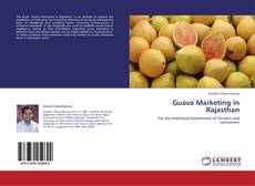 Capa do livro de Guava Marketing in Rajasthan 