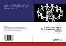 Social Organizational Structures Among Street Families kitap kapağı