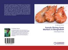 Capa do livro de Female Shrimp Farm Workers in Bangladesh 