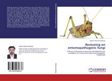 Couverture de Reviewing on entomopathogenic fungi