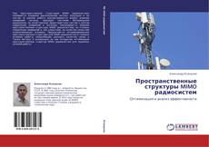 Bookcover of Пространственные структуры MIMO радиосистем