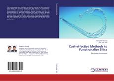 Capa do livro de Cost-effective Methods to Functionalize Silica 