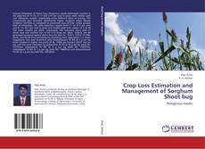 Crop Loss Estimation and Management of Sorghum Shoot bug kitap kapağı