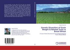 Couverture de Genetic Dissection of Grain Weight & Related Traits in Bread Wheat